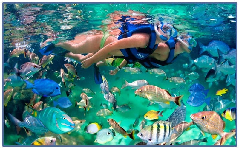 servicio de actividades acuáticas